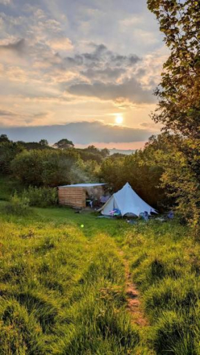 Daisy Bell Tent at Belan Bluebell Woods